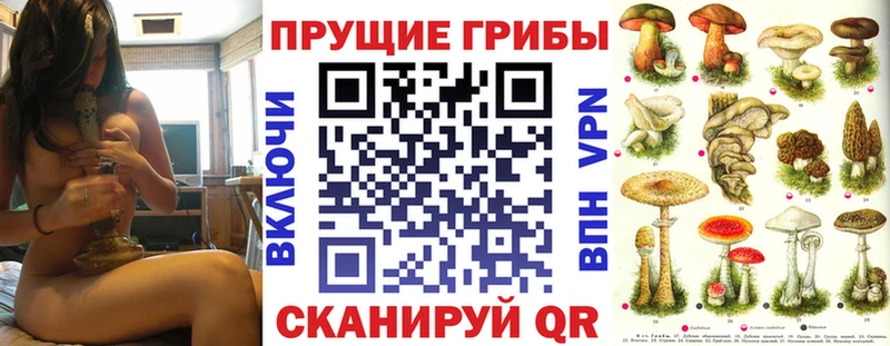 как найти наркотики Анива Галлюциногенные грибы Psilocybe
